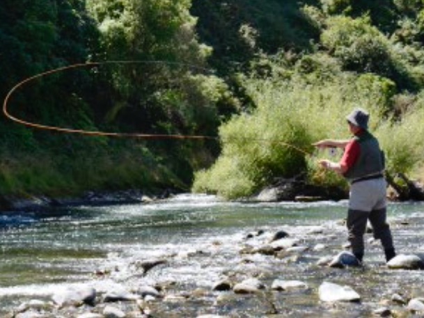 Fish & Game reform on the way – govt